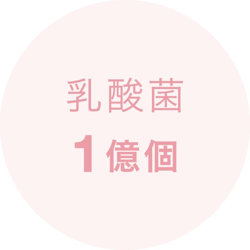 乳酸菌1億個